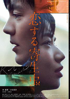 日韩高分占位色块